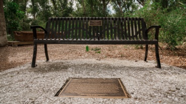  Bench by the Road